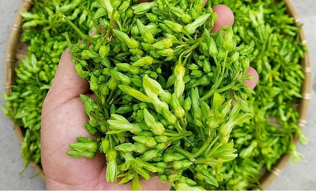 2-mon-rau-cua-nguoi-viet-la-thuoc-chua-dau-dau-an-vao-ngu-ngon-den-sang