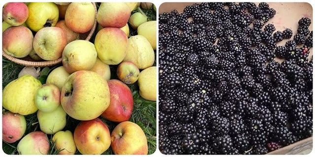 5-loai-trai-cay-giup-thanh-loc-co-the-hieu-qua-nhat