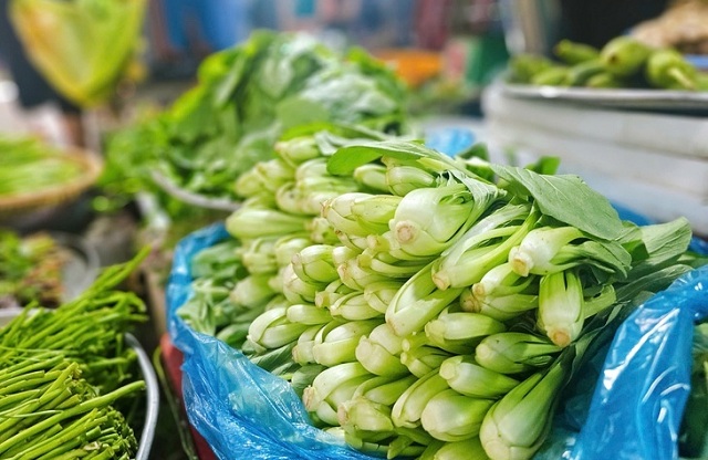 rau-ho-cai-giau-vitamin-nen-dua-vao-che-do-an-lanh-manh