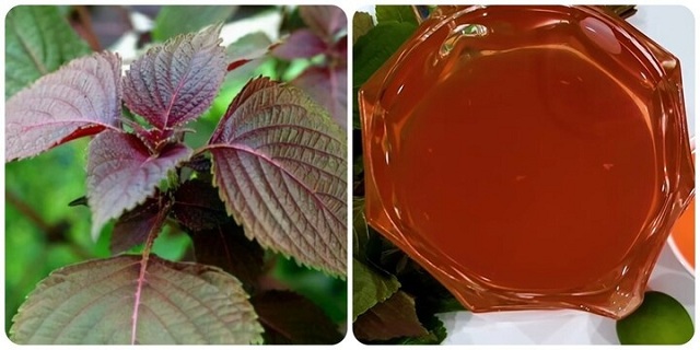 nhung-nguoi-khong-nen-an-nhieu-la-tia-to