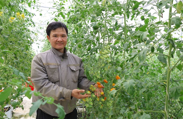 tay-ninh-vuon-minh-thanh-thu-phu-nong-nghiep-cong-nghe-cao-cua-phia-nam