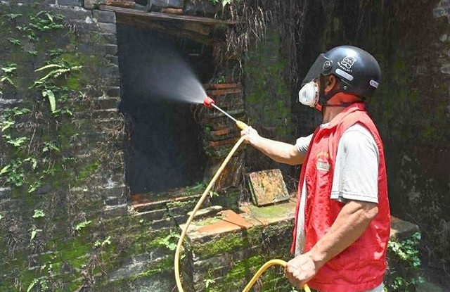 viet-nam-ung-pho-voi-nguy-co-benh-chikungunya