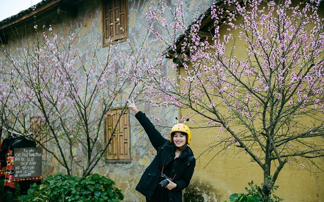 cao-nguyen-da-dong-van-moi-phien-da-mot-ban-tinh-ca