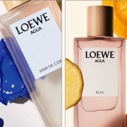 loewe-8-8-4