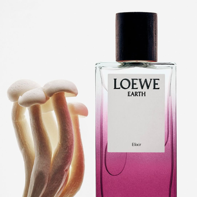 LOEWE-15-85