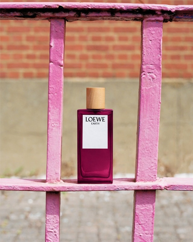 LOEWE-19-61