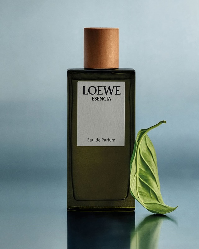 LOEWE-19-63