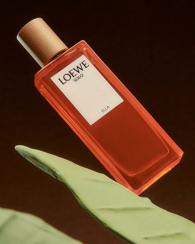 LOEWE-19-66