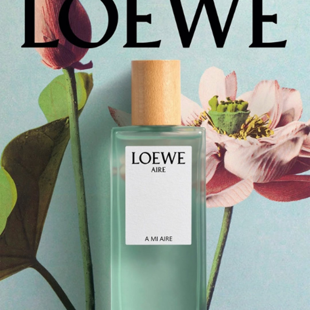 LOEWE-Aire-A-Mi-Aire-4