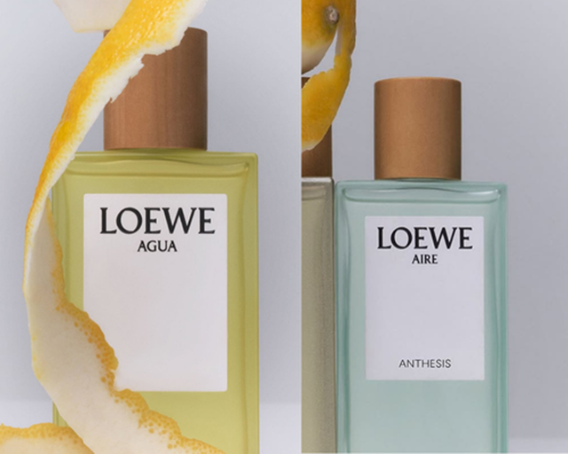 LOEWE Aire Anthesis-2