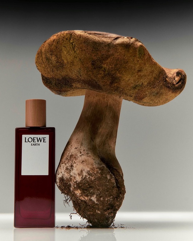 LOEWE Aire Anthesis-3