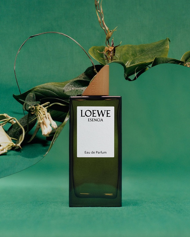 LOEWE Aire Anthesis-5