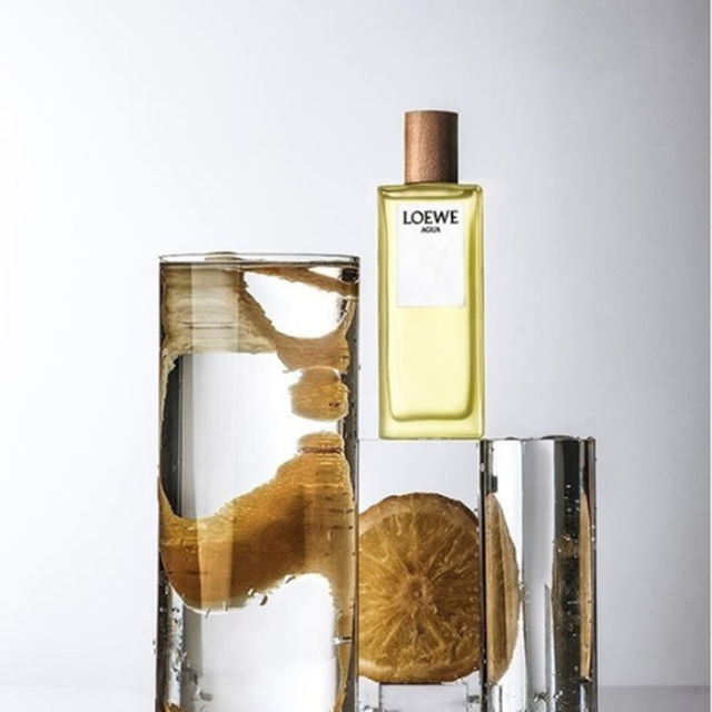 LOEWE-Earth-EDP-31-7-3