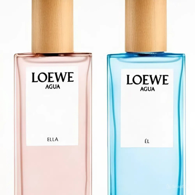 LOEWE-Earth-EDP-31-7-4