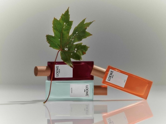loewe-earth-20-6-3