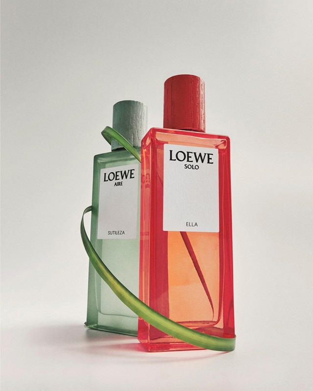 loewe-15-78