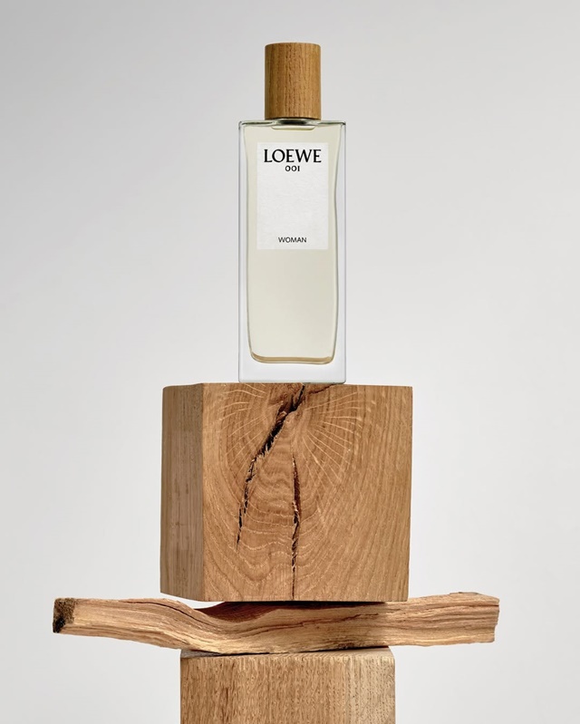 loewe-18-6-3