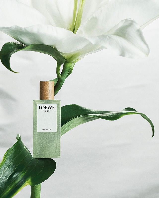 loewe-18-6-5
