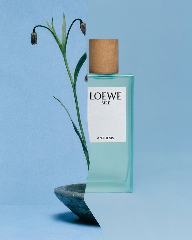 loewe-18-6-7
